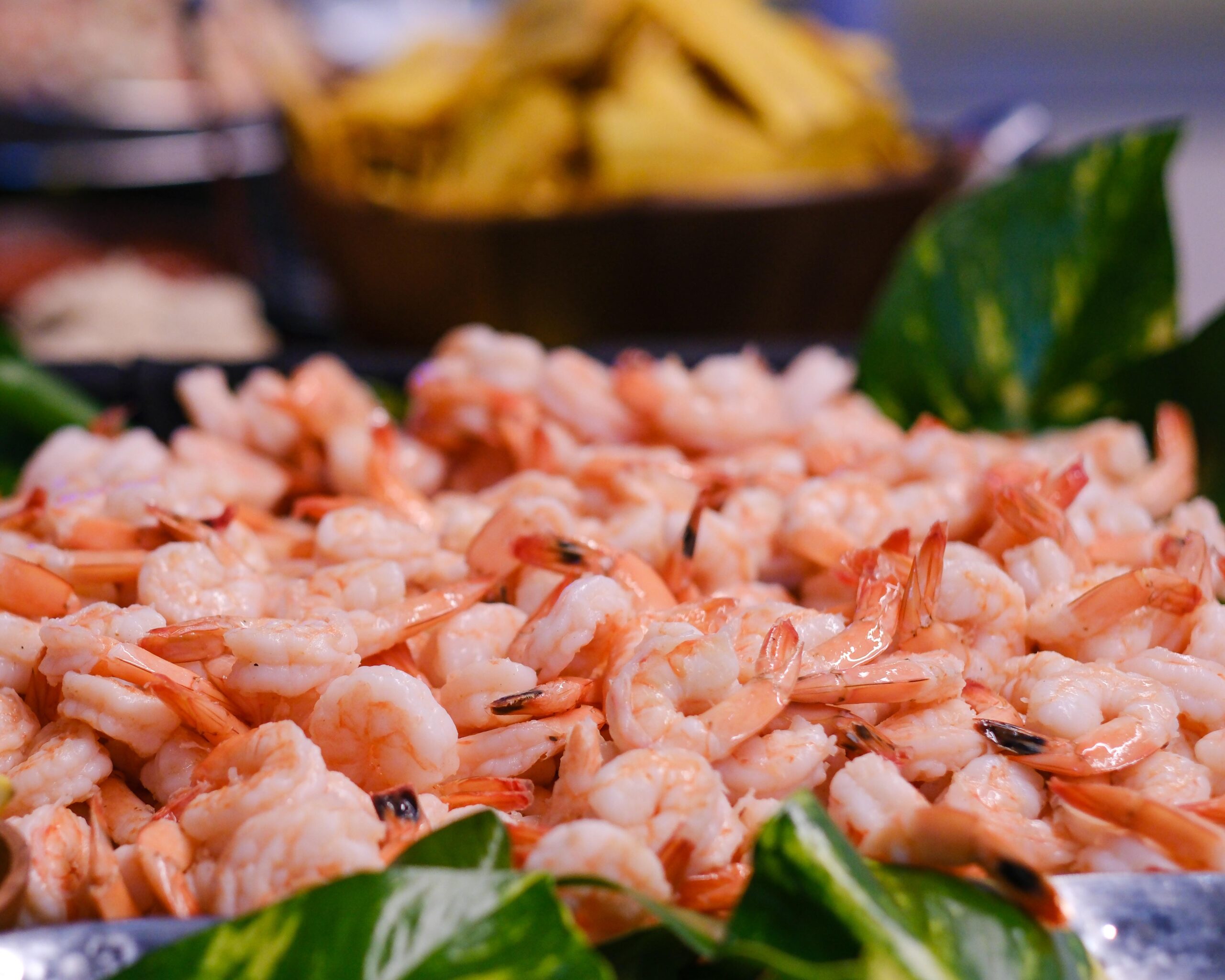 Raw Bar Catering | at the Tampa Museum of Art | Good Food Events + Catering